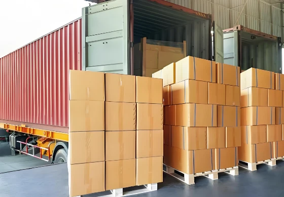 Dubai Logistics Line