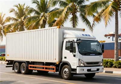 Southeast Asia Shuangqing Door To Door Special Line